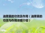 油菜苗的功效及作用（油菜苗的功效与作用详细介绍）