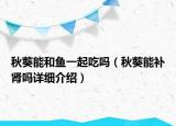 秋葵能和鱼一起吃吗（秋葵能补肾吗详细介绍）