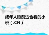 成年人睡前适合看的小说（.CN）