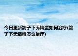 今日更新鸽子下无精蛋如何治疗(鸽子下无精蛋怎么治疗)