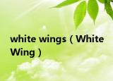 white wings（White Wing）