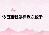 今日更新怎样煮冻饺子