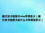 建行龙卡信用卡visa年费多少（建行龙卡信用卡是什么卡年费是多少）