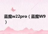 蓝魔w22pro（蓝魔W9）