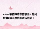 excel表格筛选怎样取消（如何取消excel表格的筛选功能）