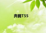 奔腾T55