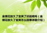 金银花放久了变黄了还能喝吗（金银花放久了变黄怎么回事详细介绍）