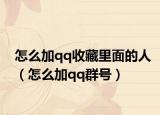 怎么加qq收藏里面的人（怎么加qq群号）