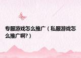 专服游戏怎么推广（私服游戏怎么推广啊?）