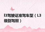 l3驾驶证准驾车型（L3 级别驾照）