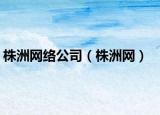 株洲网络公司（株洲网）