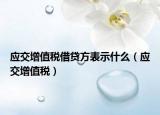 应交增值税借贷方表示什么（应交增值税）