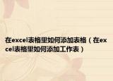 在excel表格里如何添加表格（在excel表格里如何添加工作表）