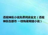 透视神医小说免费阅读全文（透视神医在都市 一枝梅著网络小说）