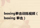 boxing拳击训练视频（boxing 拳击）