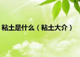 粘土是什么（粘土大介）