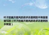 叶子的离开是风的追求还是树的不挽留是谁写的（叶子的离开是风的追求还是树的不挽留）
