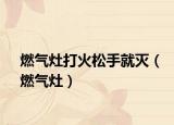 燃气灶打火松手就灭（燃气灶）