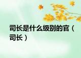 司长是什么级别的官（司长）