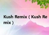Kush Remix（Kush Remix）