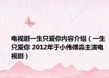 电视剧一生只爱你内容介绍（一生只爱你 2012年于小伟傅淼主演电视剧）