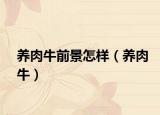 养肉牛前景怎样（养肉牛）