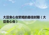 大豆食心虫繁殖的最佳时期（大豆食心虫）