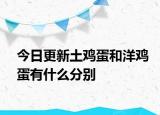 今日更新土鸡蛋和洋鸡蛋有什么分别