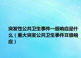 突发性公共卫生事件一级响应是什么（重大突发公共卫生事件Ⅱ级响应）