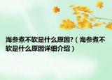海参煮不软是什么原因?（海参煮不软是什么原因详细介绍）