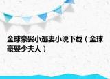 全球豪娶小逃妻小说下载（全球豪娶少夫人）
