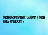 情生意动歌词是什么意思（情生意动 专辑名称）