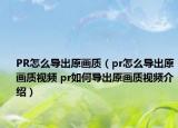 PR怎么导出原画质（pr怎么导出原画质视频 pr如何导出原画质视频介绍）
