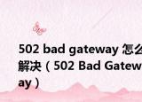 502 bad gateway 怎么解决（502 Bad Gateway）