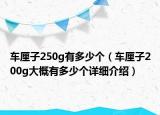 车厘子250g有多少个（车厘子200g大概有多少个详细介绍）