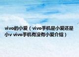 vivo的小爱（vivo手机是小爱还是小v vivo手机有没有小爱介绍）