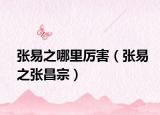 张易之哪里厉害（张易之张昌宗）