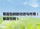 猴面包树的功效与作用（猴面包树）