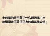 土鸡蛋的黄不黄了什么原因呢（土鸡蛋蛋黄不黄是正宗的吗详细介绍）