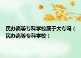 民办高等专科学校属于大专吗（民办高等专科学校）