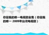 你是我的唯一电视剧全集（你是我的唯一 2009年台湾电视剧）