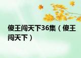 傻王闯天下36集（傻王闯天下）