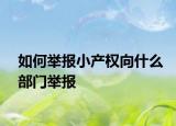 如何举报小产权向什么部门举报