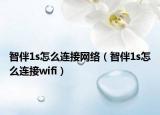 智伴1s怎么连接网络（智伴1s怎么连接wifi）