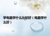 学电脑学什么比较好（电脑学什么好）