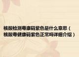 核酸检测粤康码紫色是什么意思（核酸粤健康码紫色正常吗详细介绍）