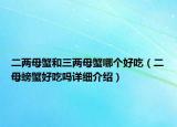 二两母蟹和三两母蟹哪个好吃（二母螃蟹好吃吗详细介绍）