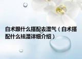 白术跟什么搭配去湿气（白术搭配什么祛湿详细介绍）