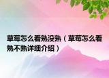草莓怎么看熟没熟（草莓怎么看熟不熟详细介绍）