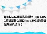 ipad2021耳机孔是哪种（ipad2021耳机是什么插口 ipad2021的耳机是啥插孔介绍）